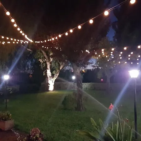 L'albero Del Pepe *