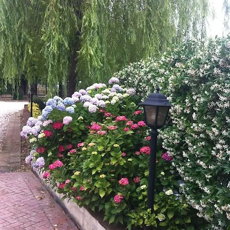 Bed & Breakfast L'albero Del Pepe *