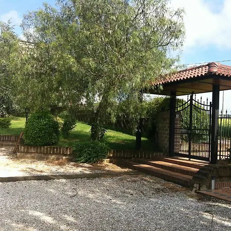 L'albero Del Pepe 4*