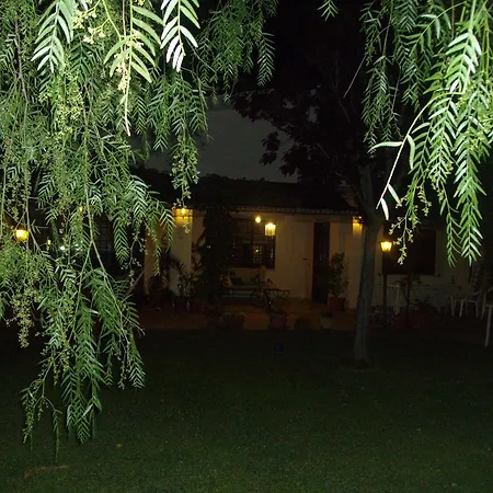 L'albero Del Pepe *
