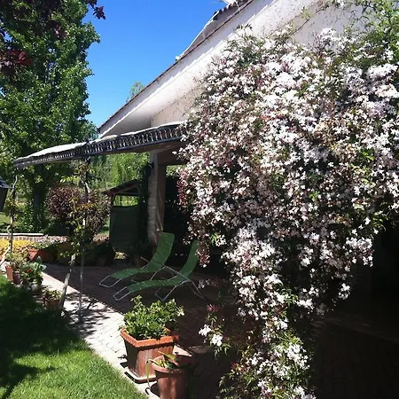 L'albero Del Pepe