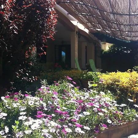 L'albero Del Pepe 4*