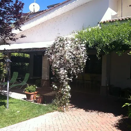 L'albero Del Pepe