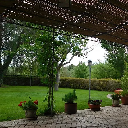 L'albero Del Pepe