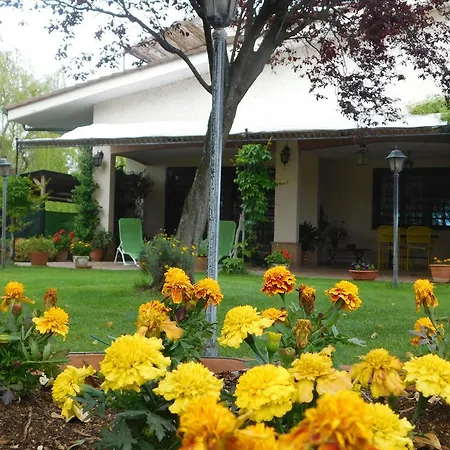 L'albero Del Pepe Bed & Breakfast