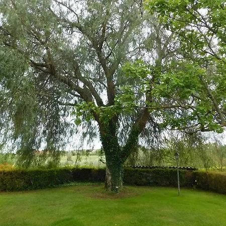 L'albero Del Pepe Bed & Breakfast *