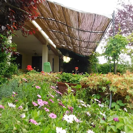 L'albero Del Pepe Bed & Breakfast Fiano Romano