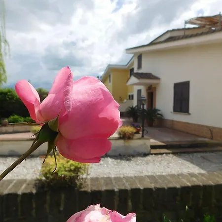 Bed & Breakfast L'albero Del Pepe Fiano Romano