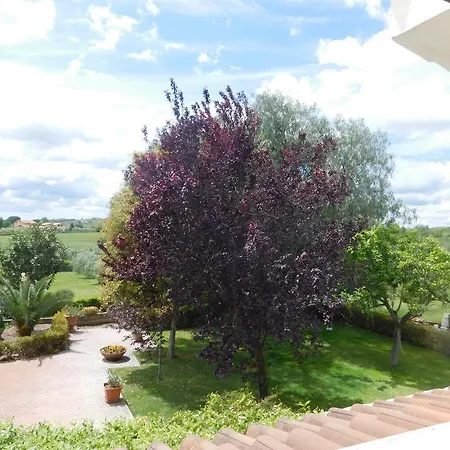 Bed & Breakfast L'albero Del Pepe Fiano Romano