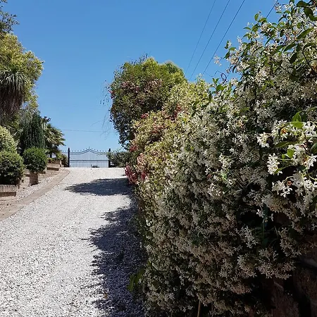 L'albero Del Pepe Fiano Romano