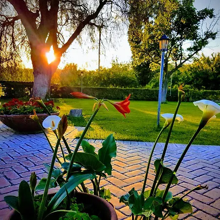 L'albero Del Pepe Fiano Romano